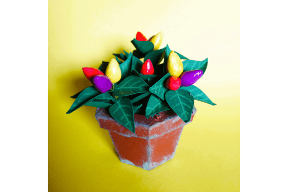 Pepper Ornamental Floribela: A Designer’s Review